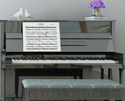 扬州市广陵区和平琴行